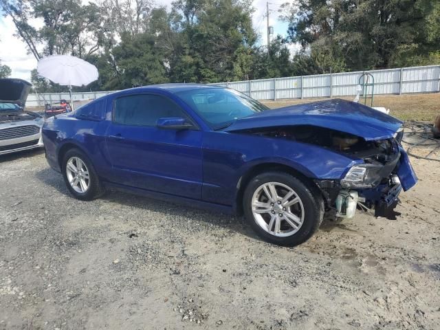 2013 Ford Mustang