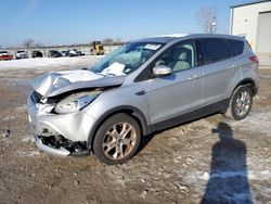 Ford Vehiculos salvage en venta: 2013 Ford Escape SEL