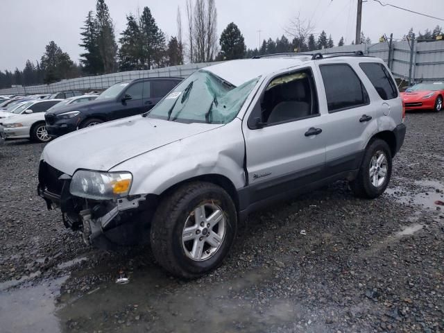 2006 Ford Escape HEV