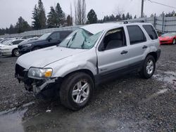 Vehiculos salvage en venta de Copart Graham, WA: 2006 Ford Escape HEV