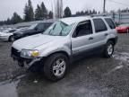 2006 Ford Escape HEV