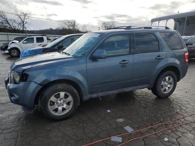 2011 Ford Escape Limited