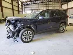 2019 Toyota Rav4 XLE Premium en venta en Lawrenceburg, KY