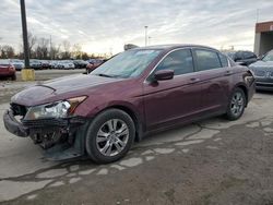 2011 Honda Accord LXP en venta en Fort Wayne, IN