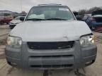 2002 Ford Escape XLT