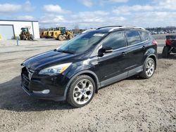 Salvage cars for sale at Lumberton, NC auction: 2016 Ford Escape Titanium