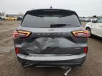 2024 Ford Escape ST Line