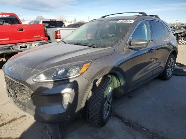 2021 Ford Escape SEL