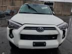 2024 Toyota 4runner SR5/SR5 Premium