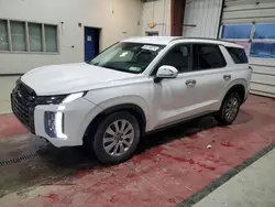 Hyundai Palisade salvage cars for sale: 2023 Hyundai Palisade SEL