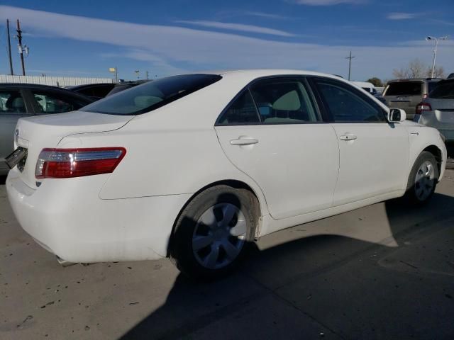 2009 Toyota Camry Hybrid