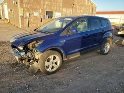 Salvage cars for sale at Rapid City, SD auction: 2016 Ford Escape SE