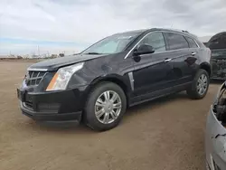 Cadillac salvage cars for sale: 2010 Cadillac SRX Luxury Collection