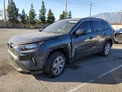 Toyota salvage cars for sale: 2019 Toyota Rav4 LE