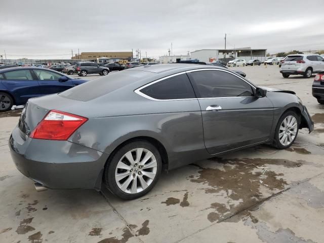 2010 Honda Accord EXL