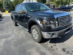 Ford salvage cars for sale: 2011 Ford F150 Supercrew