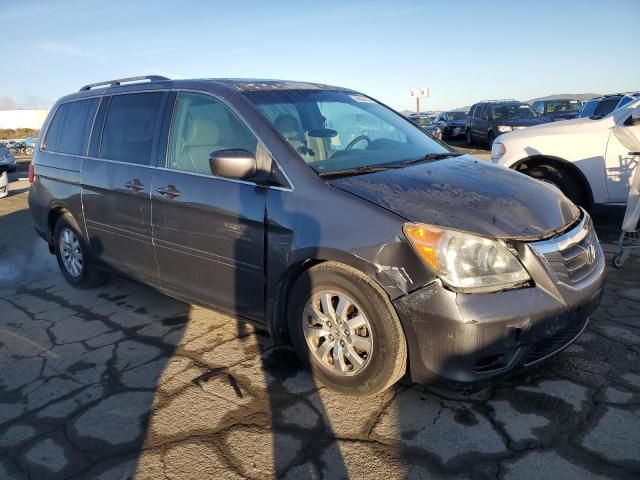 2010 Honda Odyssey EXL