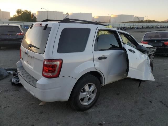 2009 Ford Escape XLT