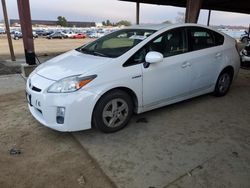 Toyota Prius salvage cars for sale: 2010 Toyota Prius