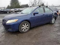 Toyota salvage cars for sale: 2010 Toyota Camry SE