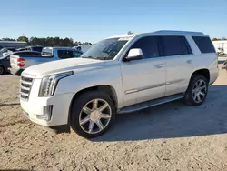 Cadillac salvage cars for sale: 2015 Cadillac Escalade Luxury