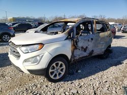 Salvage cars for sale at Louisville, KY auction: 2019 Ford Ecosport SE