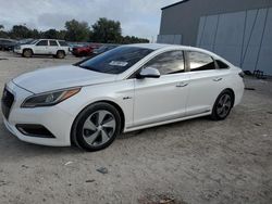 Cars With No Damage for sale at auction: 2016 Hyundai Sonata Hybrid