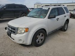 Ford Vehiculos salvage en venta: 2010 Ford Escape XLT