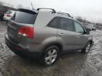 2013 KIA Sorento EX