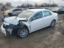 Salvage cars for sale at Columbus, OH auction: 2010 Toyota Corolla Base