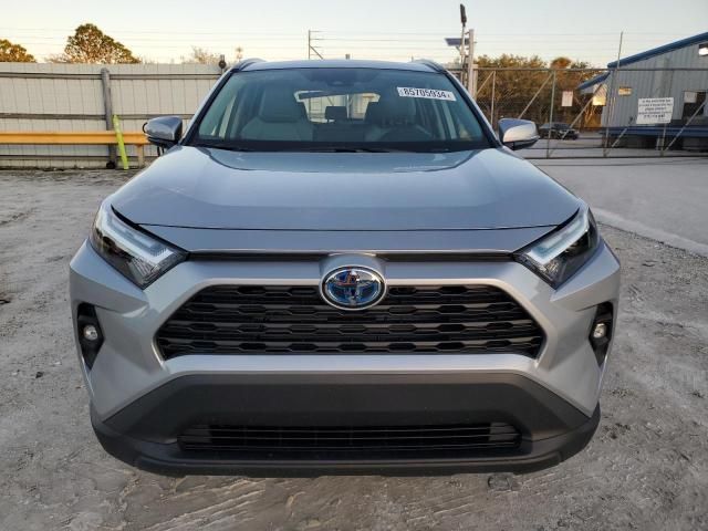 2024 Toyota Rav4 XLE Premium