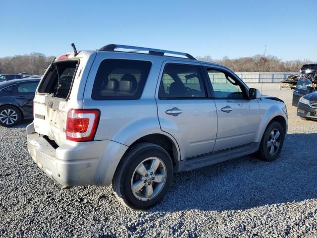 2011 Ford Escape Limited