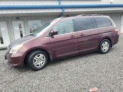 Vehiculos salvage en venta de Copart Earlington, KY: 2007 Honda Odyssey EXL