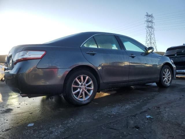 2010 Toyota Camry Hybrid