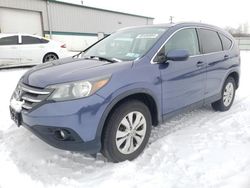 Honda salvage cars for sale: 2014 Honda CR-V EXL