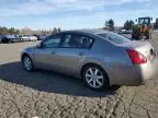 2005 Nissan Maxima SE