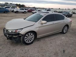 Salvage cars for sale at Harleyville, SC auction: 2013 Honda Accord EXL