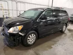 Salvage cars for sale at Avon, MN auction: 2010 Honda Odyssey EXL