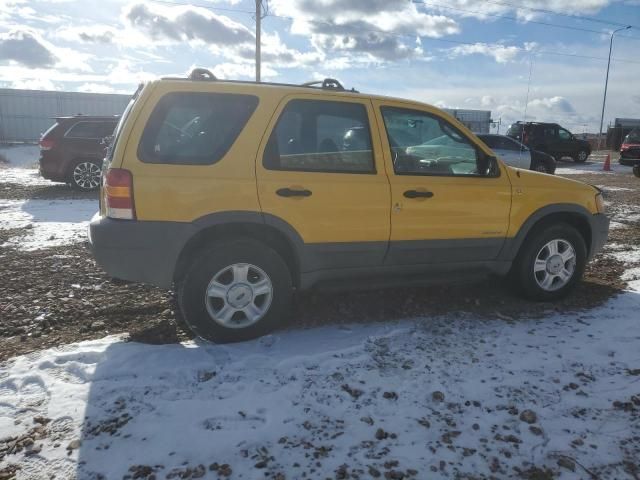 2001 Ford Escape XLT