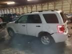 2008 Ford Escape HEV