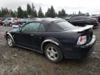 2004 Ford Mustang