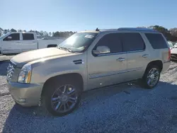 Cadillac salvage cars for sale: 2007 Cadillac Escalade Luxury