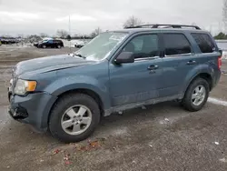 Salvage cars for sale at London, ON auction: 2011 Ford Escape XLT