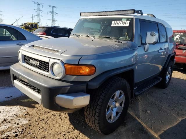 2010 Toyota FJ Cruiser