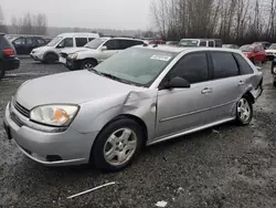 Salvage cars for sale at Arlington, WA auction: 2005 Chevrolet Malibu Maxx LT