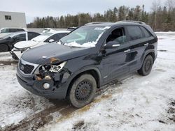 Salvage cars for sale at Cookstown, ON auction: 2011 KIA Sorento EX