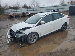 2014 Ford Focus SE en venta en Columbia Station, OH