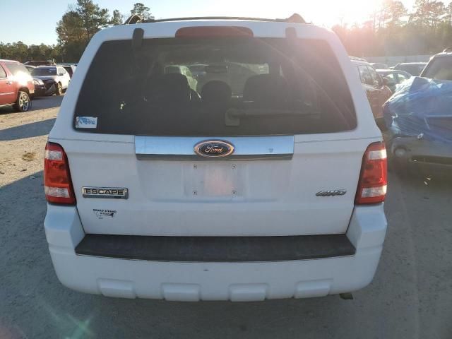 2009 Ford Escape XLT