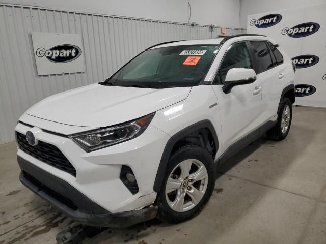 2021 Toyota Rav4 XLE