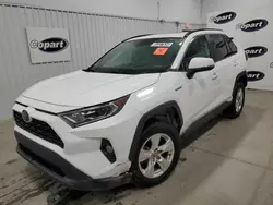 Salvage cars for sale from Copart Concord, NC: 2021 Toyota Rav4 XLE